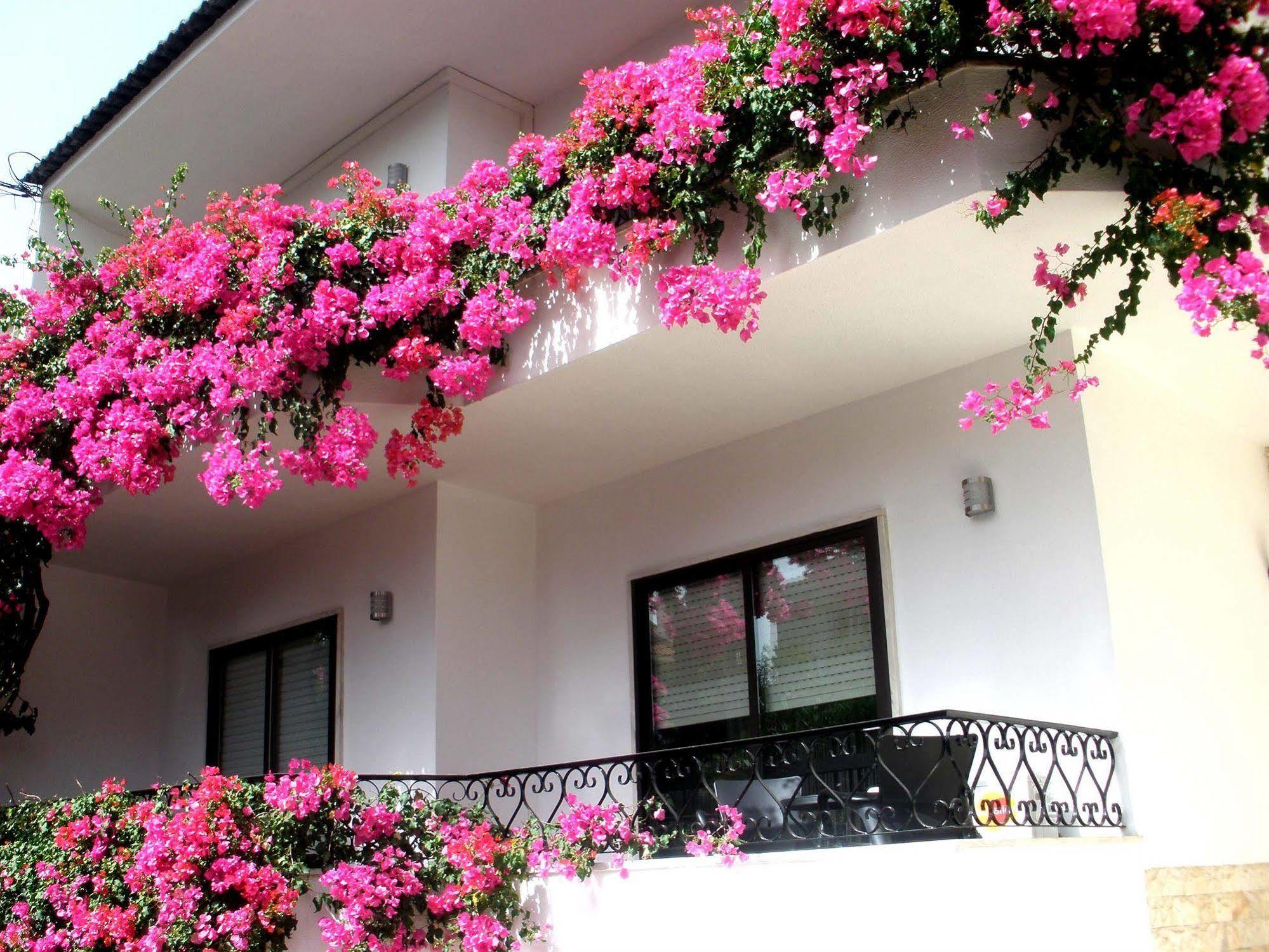 Dolce Cascais Guest House Екстер'єр фото